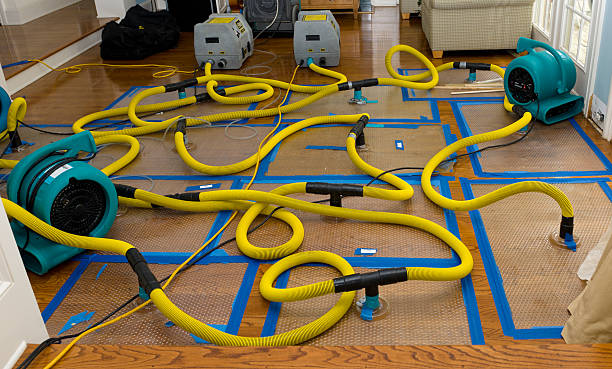 Professional Basement Flood Cleanup technician working in Chinquapin, NC