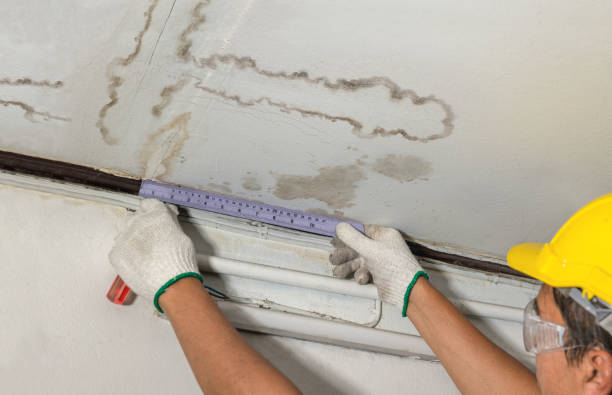 Affordable Water Damage Repair solutions in Chinquapin, NC